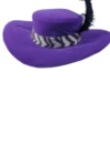 @MoeBitches's hat